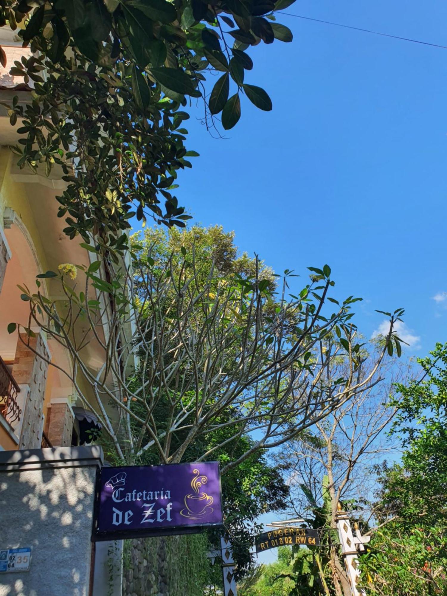 Villa Alicia Maguwo Dış mekan fotoğraf