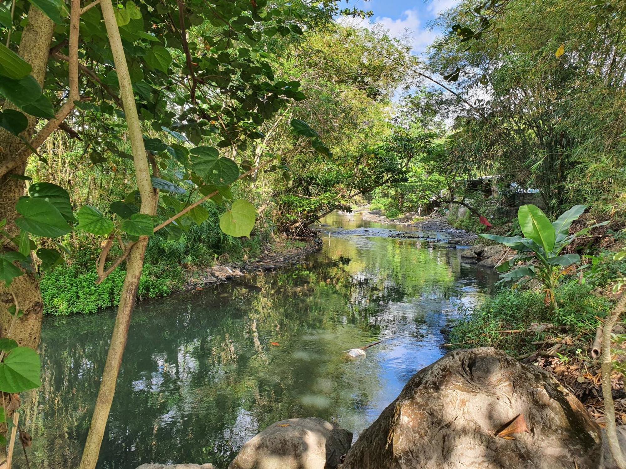 Villa Alicia Maguwo Dış mekan fotoğraf